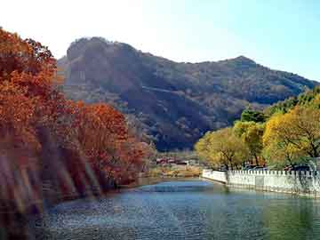 新澳门正版免费大全，泛目录大神